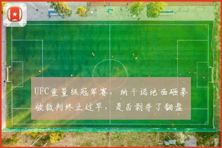 UFC重量级冠军赛，纳干诺地面砸拳被裁判终止过早，是否剥夺了翻盘机会？
